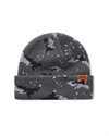 Butter Goods Desert Camo Beanie (BGQ3248103)